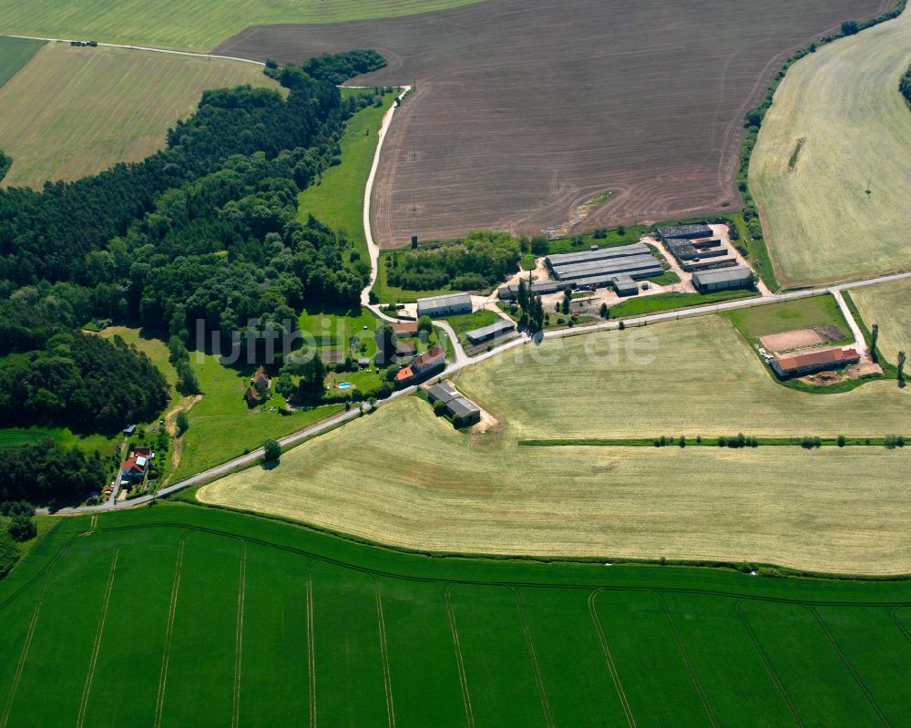 Luftbild Arenshausen - Gehöft und Bauernhof in Arenshausen im Bundesland Thüringen, Deutschland