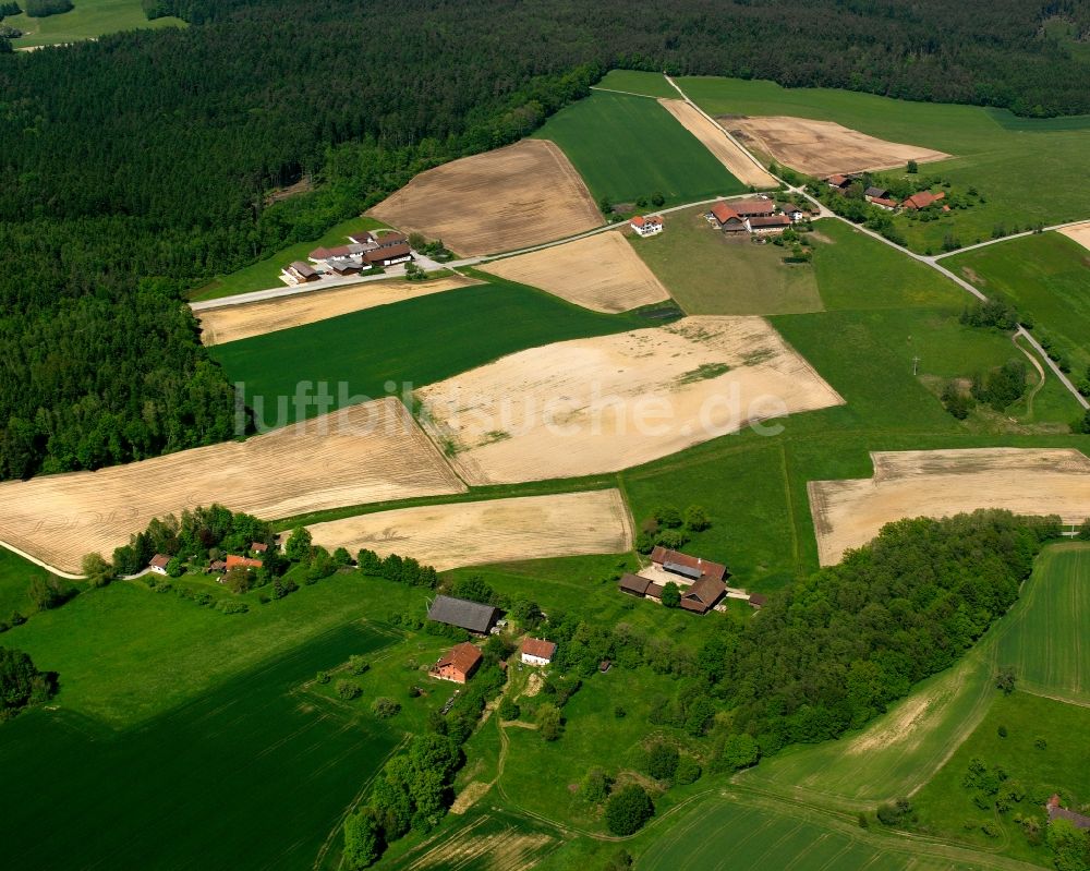 Luftaufnahme Dietersburg - Gehöft und Bauernhof in Dietersburg im Bundesland Bayern, Deutschland