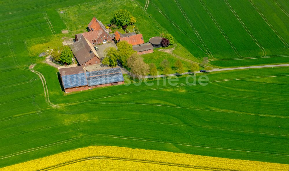 Luftaufnahme Drensteinfurt - Gehöft und Bauernhof in Drensteinfurt im Bundesland Nordrhein-Westfalen, Deutschland