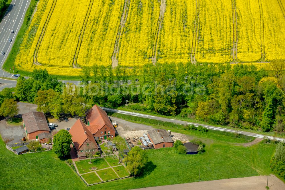 Drensteinfurt aus der Vogelperspektive: Gehöft und Bauernhof in Drensteinfurt im Bundesland Nordrhein-Westfalen, Deutschland