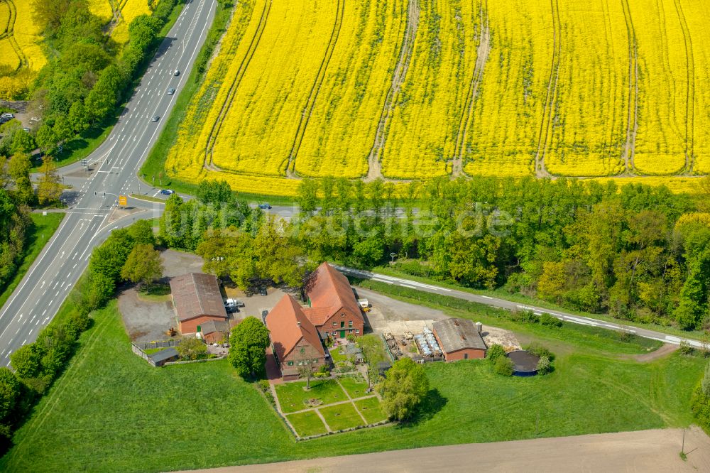 Luftbild Drensteinfurt - Gehöft und Bauernhof in Drensteinfurt im Bundesland Nordrhein-Westfalen, Deutschland