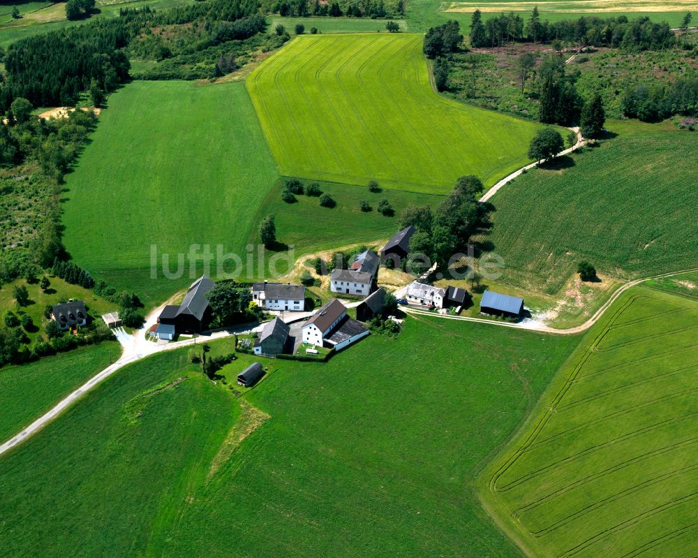 Erbsbühl von oben - Gehöft und Bauernhof in Erbsbühl im Bundesland Bayern, Deutschland