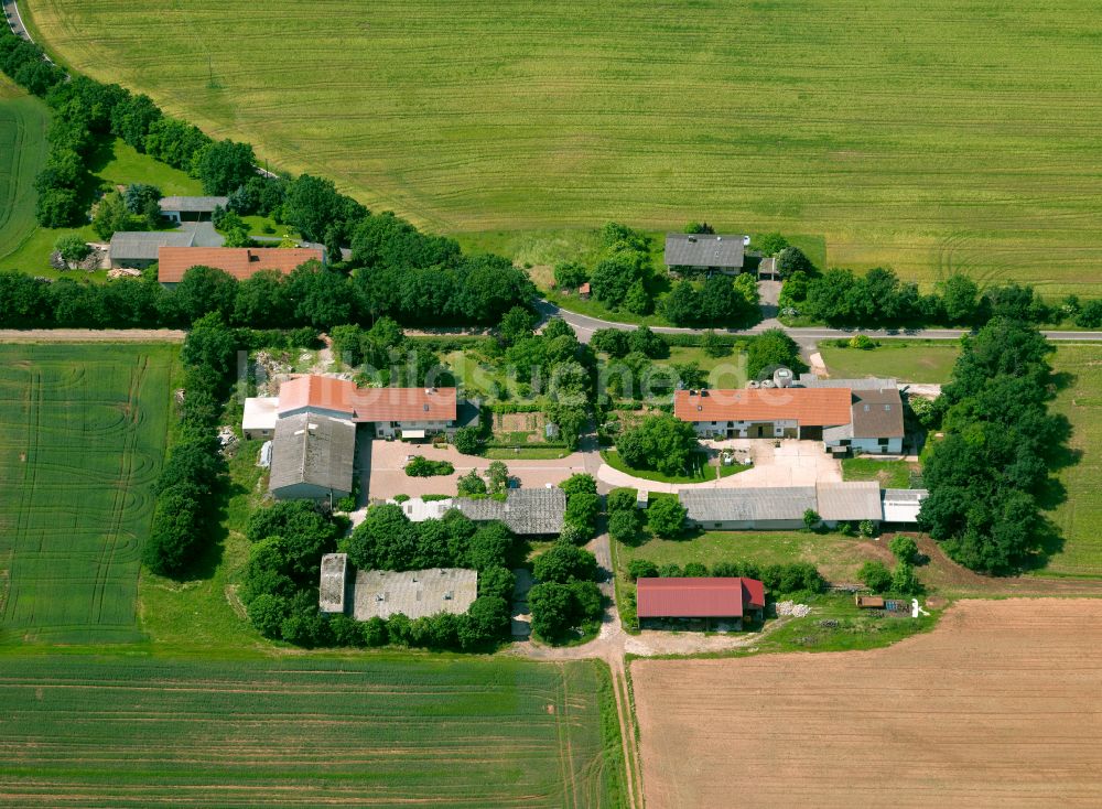 Göllheim aus der Vogelperspektive: Gehöft und Bauernhof in Göllheim im Bundesland Rheinland-Pfalz, Deutschland