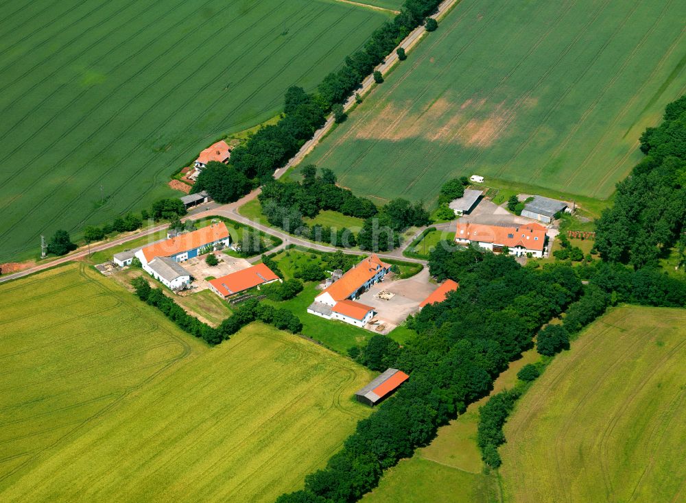 Luftbild Göllheim - Gehöft und Bauernhof in Göllheim im Bundesland Rheinland-Pfalz, Deutschland