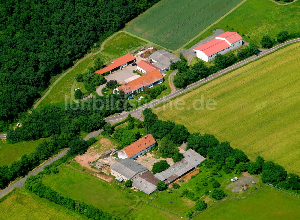 Luftaufnahme Göllheim - Gehöft und Bauernhof in Göllheim im Bundesland Rheinland-Pfalz, Deutschland