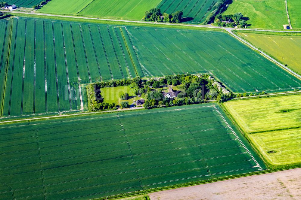 Luftaufnahme Niebüll - Gehöft und Bauernhof Gotteskoogdeich in Niebüll im Bundesland Schleswig-Holstein, Deutschland