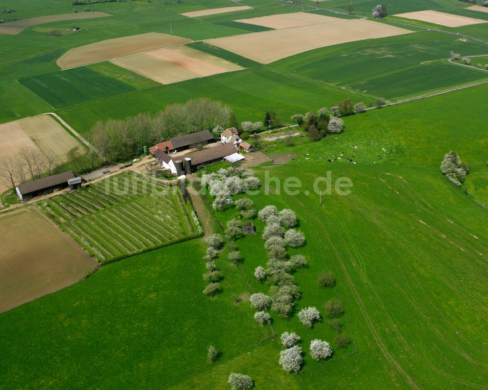 Grünberg von oben - Gehöft und Bauernhof in Grünberg im Bundesland Hessen, Deutschland