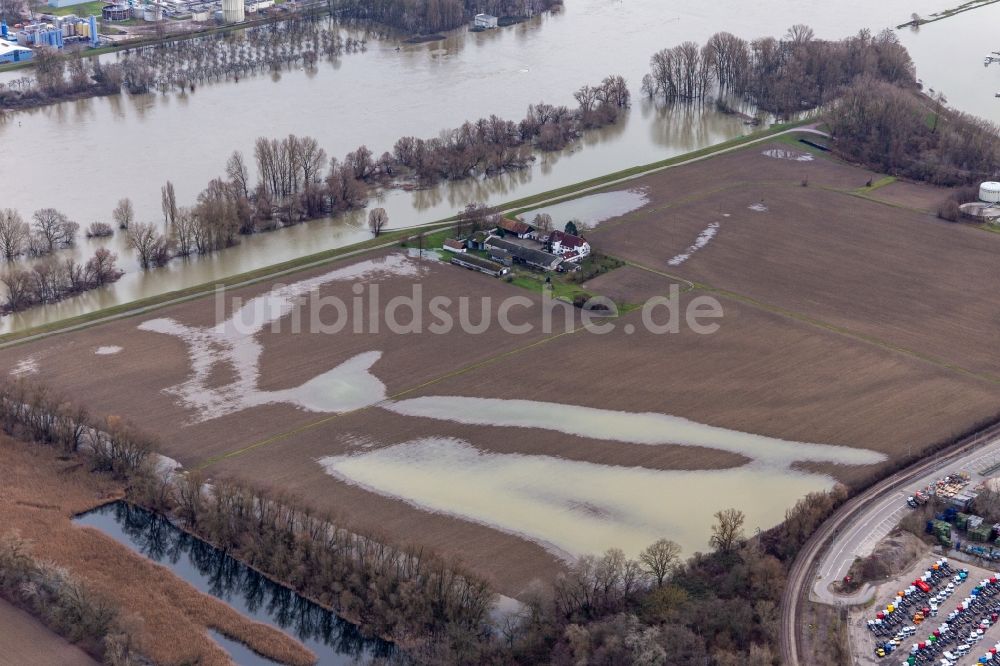 Wörth am Rhein aus der Vogelperspektive: Gehöft und Bauernhof Hofgut Ludwigsau bei Rheinhochwasser in Wörth am Rhein im Bundesland Rheinland-Pfalz, Deutschland