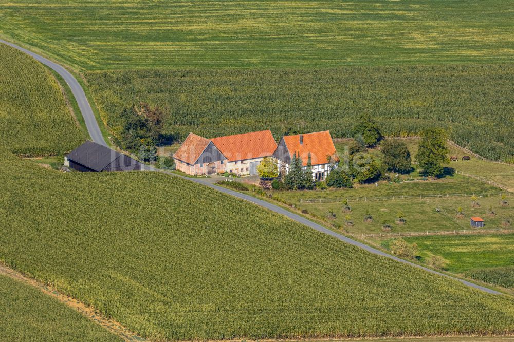 Istrup von oben - Gehöft und Bauernhof in Istrup im Bundesland Nordrhein-Westfalen, Deutschland