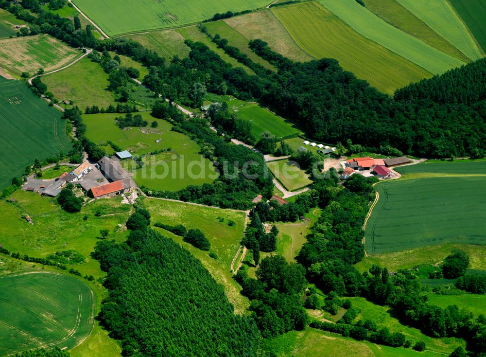 Luftaufnahme Nieder-Wiesen - Gehöft und Bauernhof in Nieder-Wiesen im Bundesland Rheinland-Pfalz, Deutschland