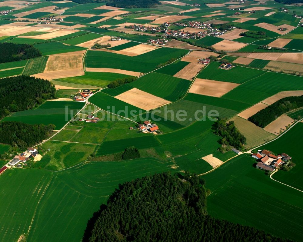 Reifberg aus der Vogelperspektive: Gehöft und Bauernhof in Reifberg im Bundesland Bayern, Deutschland