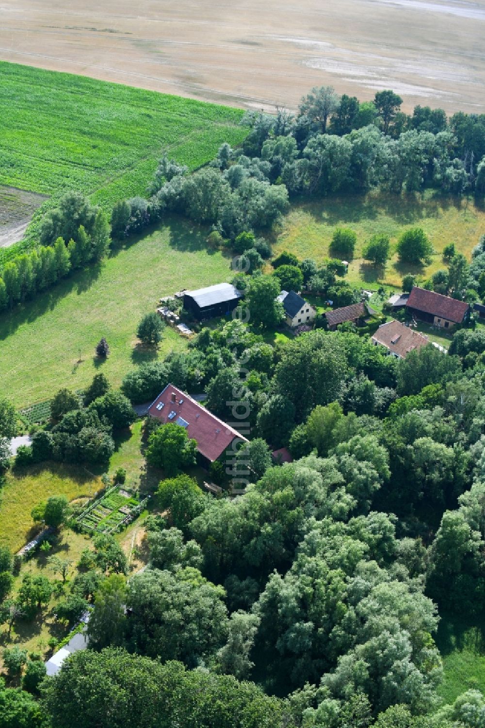 Luftaufnahme Ackermannshof - Gehöft eines Bauernhofes in Ackermannshof im Bundesland Brandenburg, Deutschland