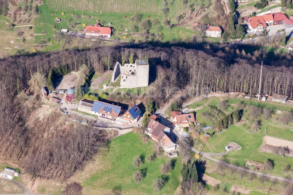 Luftbild Sasbach - Gehöft eines Bauernhofes Baumschule Ringwald im Ortsteil Obersasbach in Sasbach im Bundesland Baden-Württemberg, Deutschland