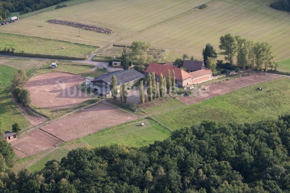 Altleiningen aus der Vogelperspektive: Gehöft eines Bauernhofes Gartenhof im Ortsteil Höningen in Altleiningen im Bundesland Rheinland-Pfalz