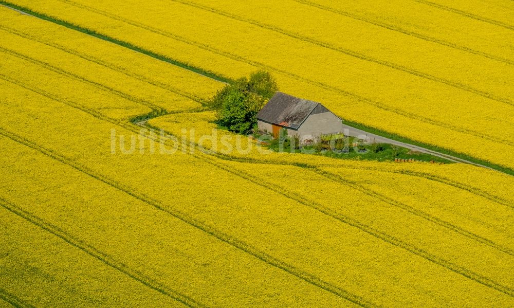 Anröchte aus der Vogelperspektive: Gehöft eines Bauernhofes auf gelben Rapsfeld in Anröchte im Bundesland Nordrhein-Westfalen, Deutschland