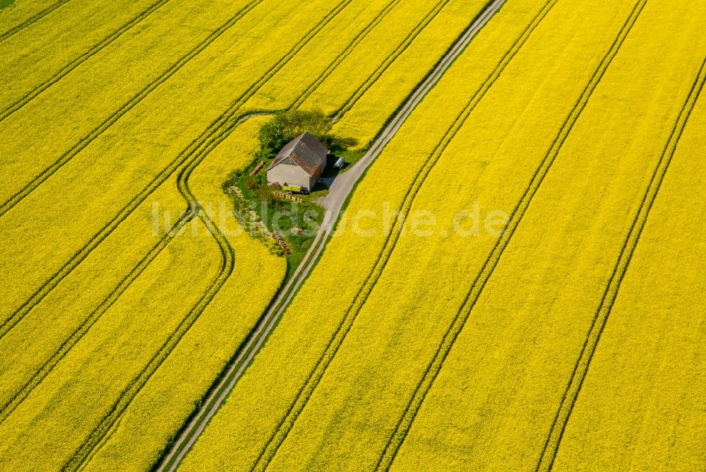 Luftaufnahme Anröchte - Gehöft eines Bauernhofes auf gelben Rapsfeld in Anröchte im Bundesland Nordrhein-Westfalen, Deutschland