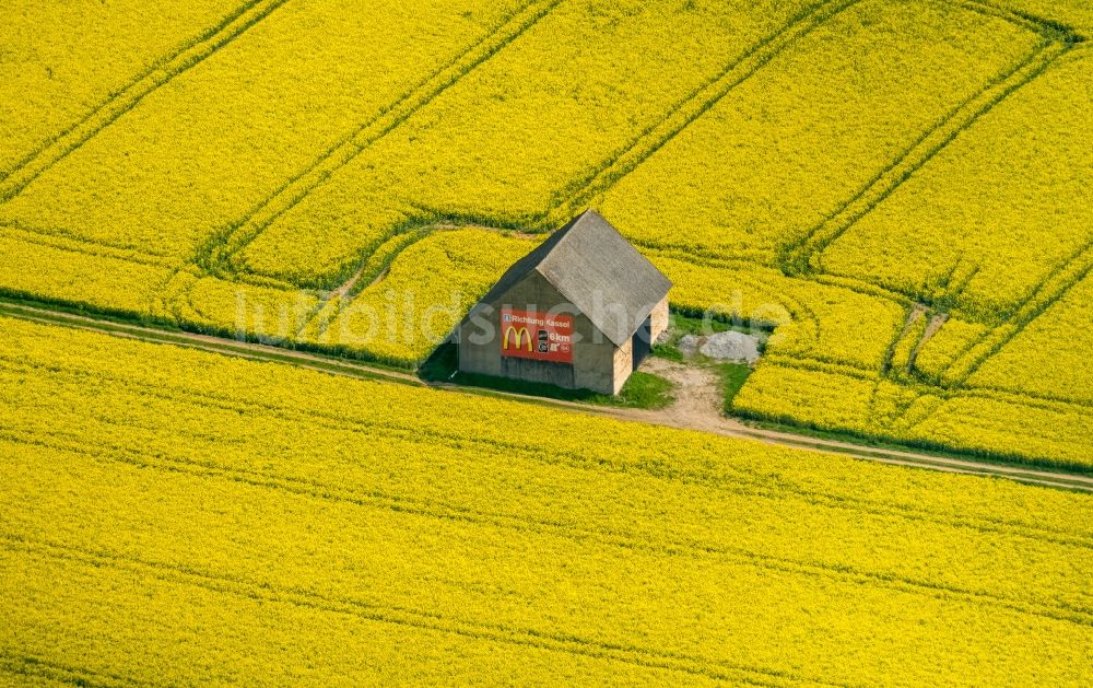 Luftbild Marsberg - Gehöft eines Bauernhofes in gelber Rapsfeld- Umgebung in Marsberg im Bundesland Nordrhein-Westfalen, Deutschland