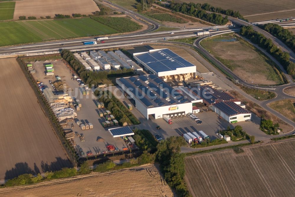 Luftbild Mutterstadt - Gehöft eines Bauernhofes von Gemüse Renner V+V GmbH in Mutterstadt im Bundesland Rheinland-Pfalz, Deutschland