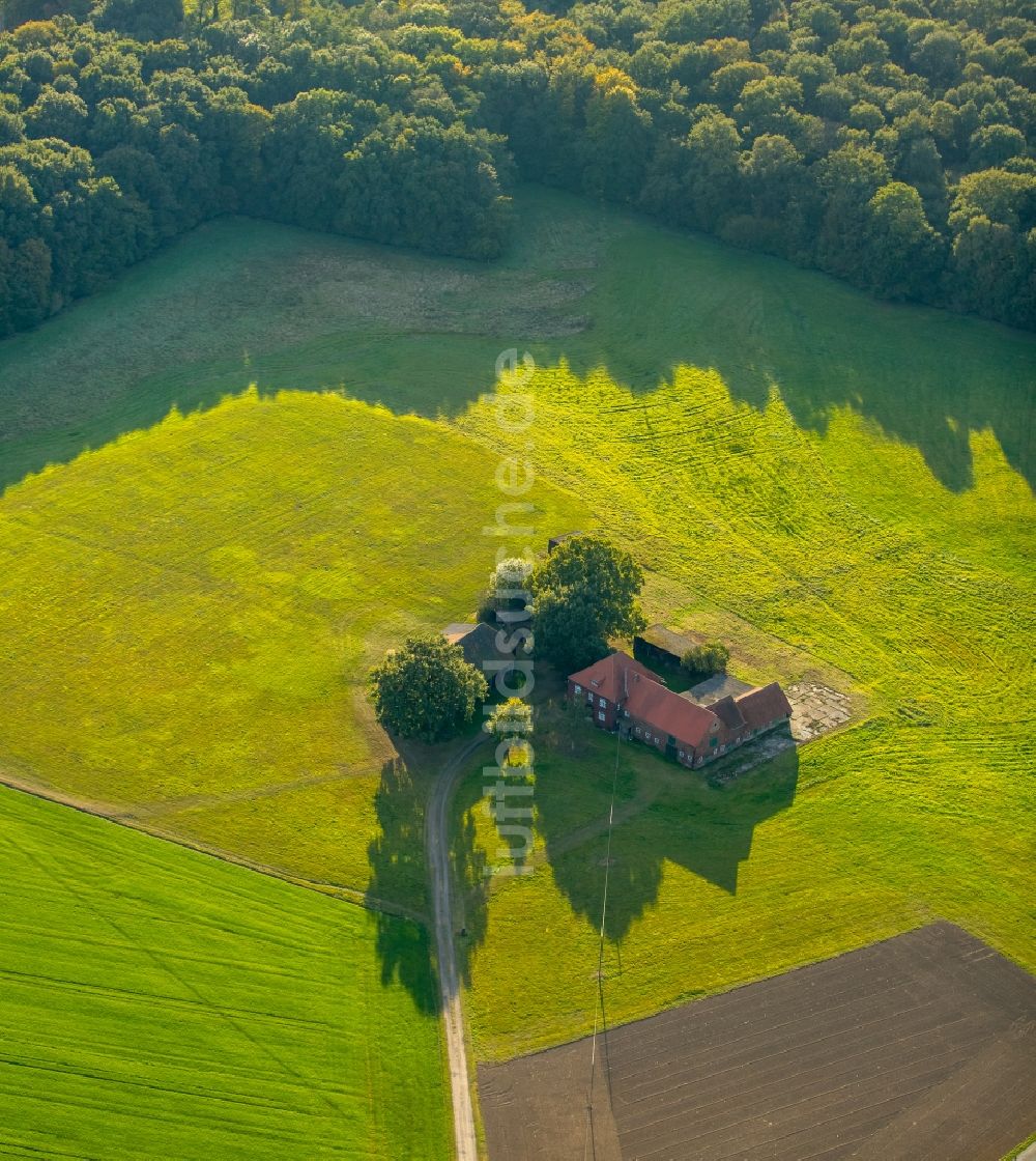 Luftbild Gladbeck - Gehöft eines Bauernhofes in Gladbeck im Bundesland Nordrhein-Westfalen