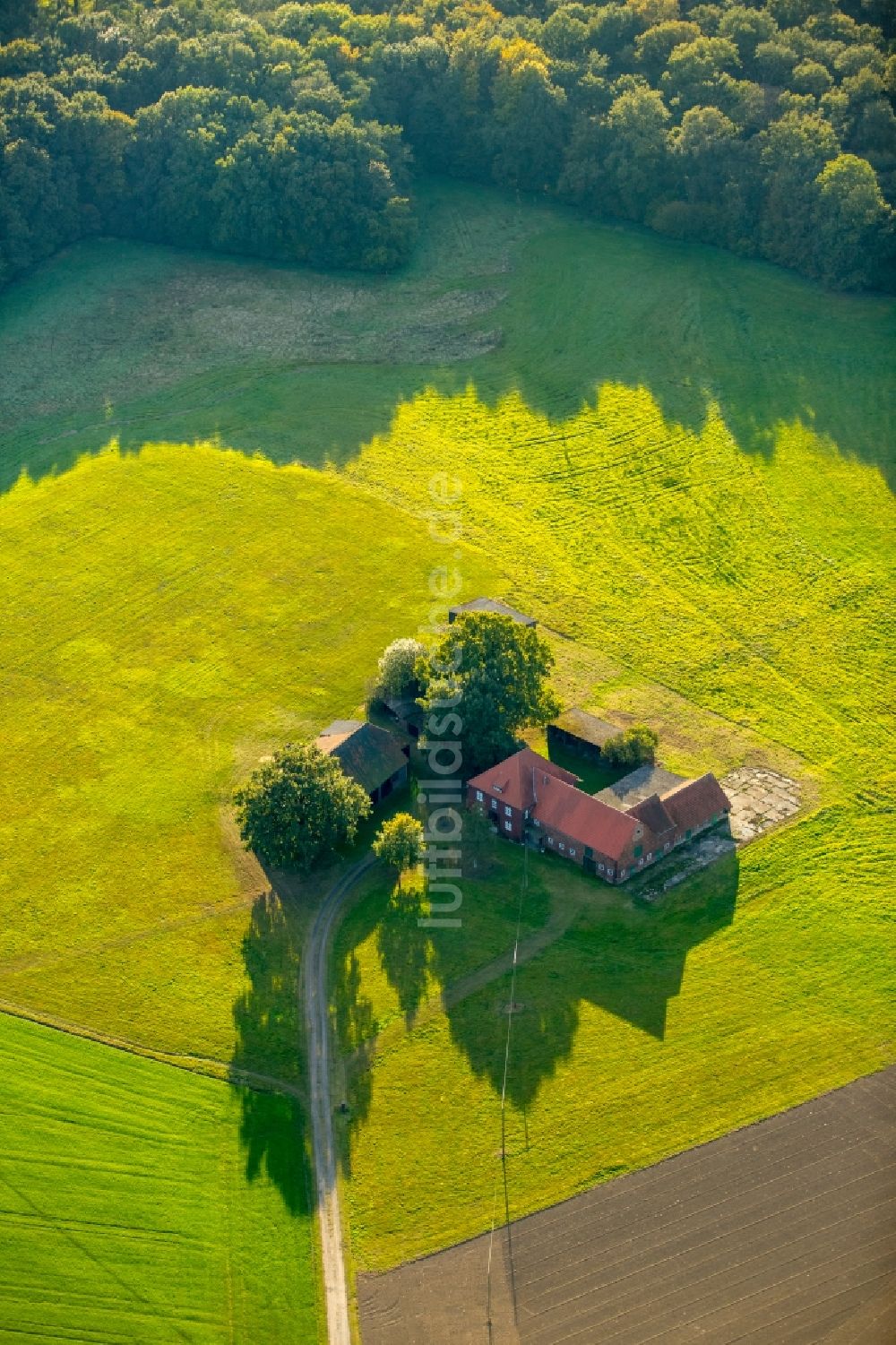 Luftaufnahme Gladbeck - Gehöft eines Bauernhofes in Gladbeck im Bundesland Nordrhein-Westfalen