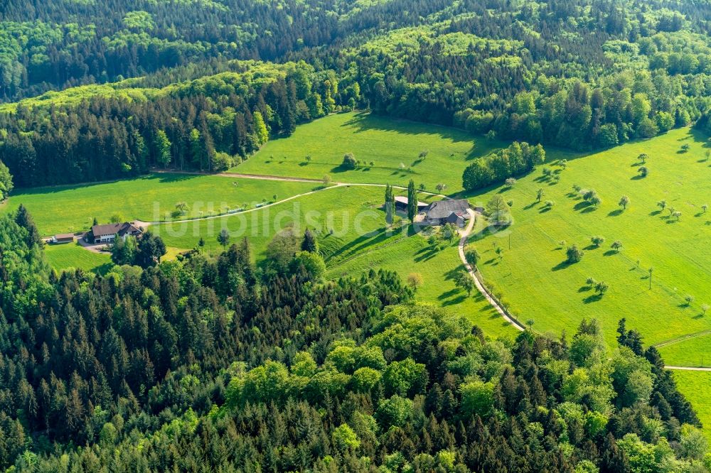 Seelbach aus der Vogelperspektive: Gehöft eines Bauernhofes Hasenberg in Seelbach im Bundesland Baden-Württemberg, Deutschland