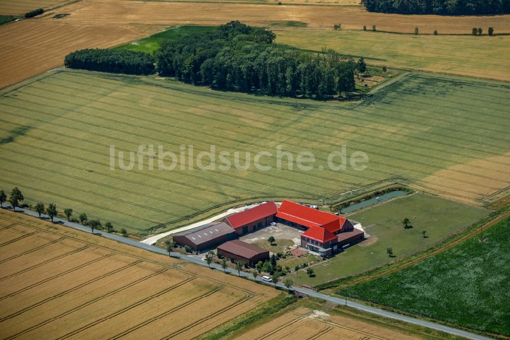 Luftaufnahme Sendenhorst - Gehöft eines Bauernhofes Im Holt in Sendenhorst im Bundesland Nordrhein-Westfalen, Deutschland