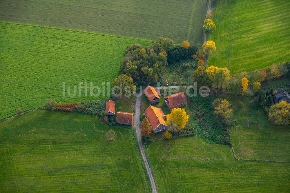 Gladbeck aus der Vogelperspektive: Gehöft eines Bauernhofes an der Holtkampstraße in Gladbeck im Bundesland Nordrhein-Westfalen, Deutschland