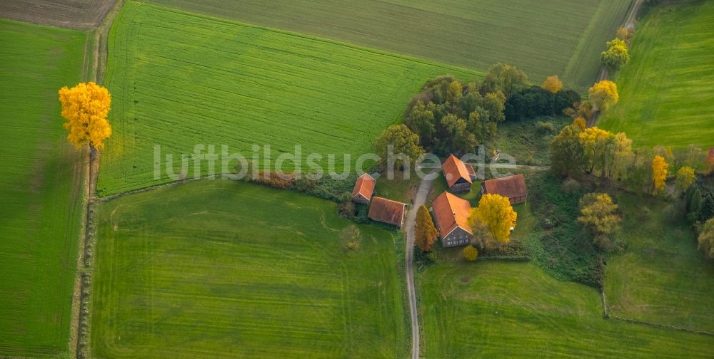 Luftbild Gladbeck - Gehöft eines Bauernhofes an der Holtkampstraße in Gladbeck im Bundesland Nordrhein-Westfalen, Deutschland