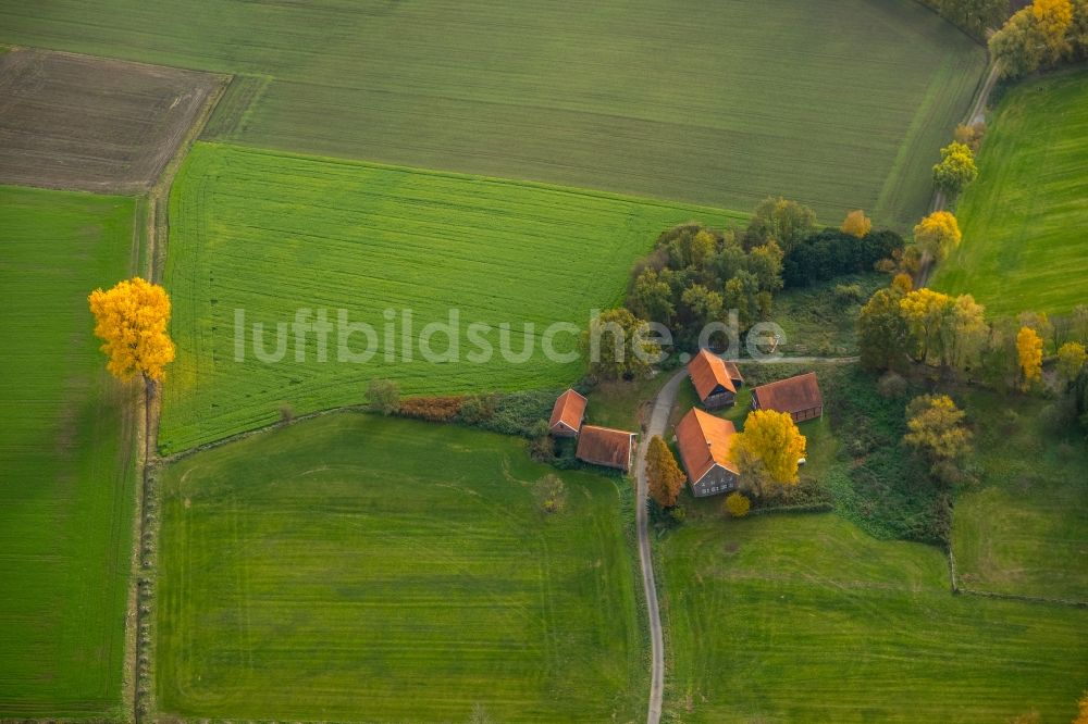 Luftaufnahme Gladbeck - Gehöft eines Bauernhofes an der Holtkampstraße in Gladbeck im Bundesland Nordrhein-Westfalen, Deutschland