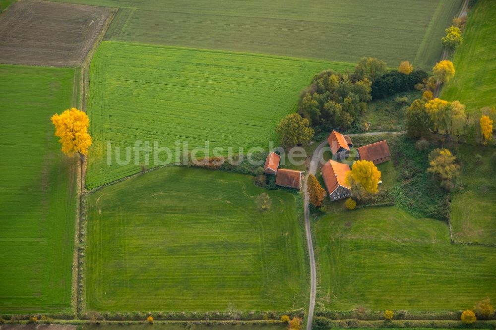 Gladbeck von oben - Gehöft eines Bauernhofes an der Holtkampstraße in Gladbeck im Bundesland Nordrhein-Westfalen, Deutschland