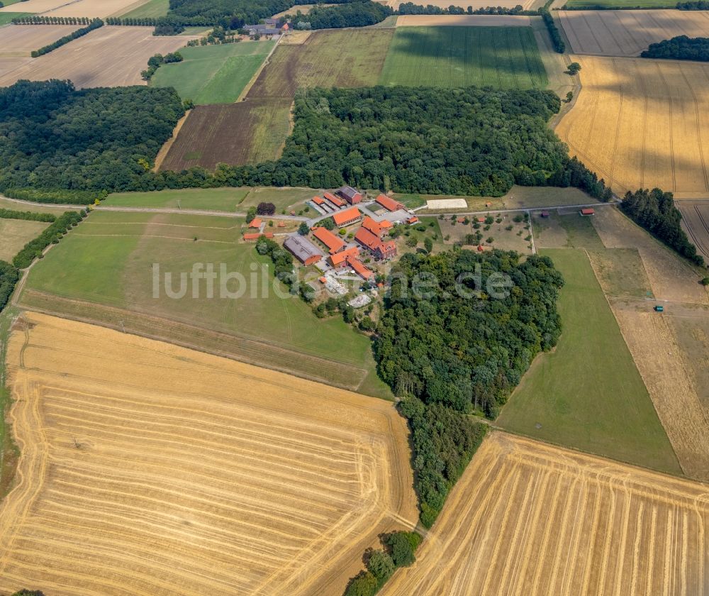 Everswinkel von oben - Gehöft eines Bauernhofes und die Imkerei König in Everswinkel im Bundesland Nordrhein-Westfalen, Deutschland