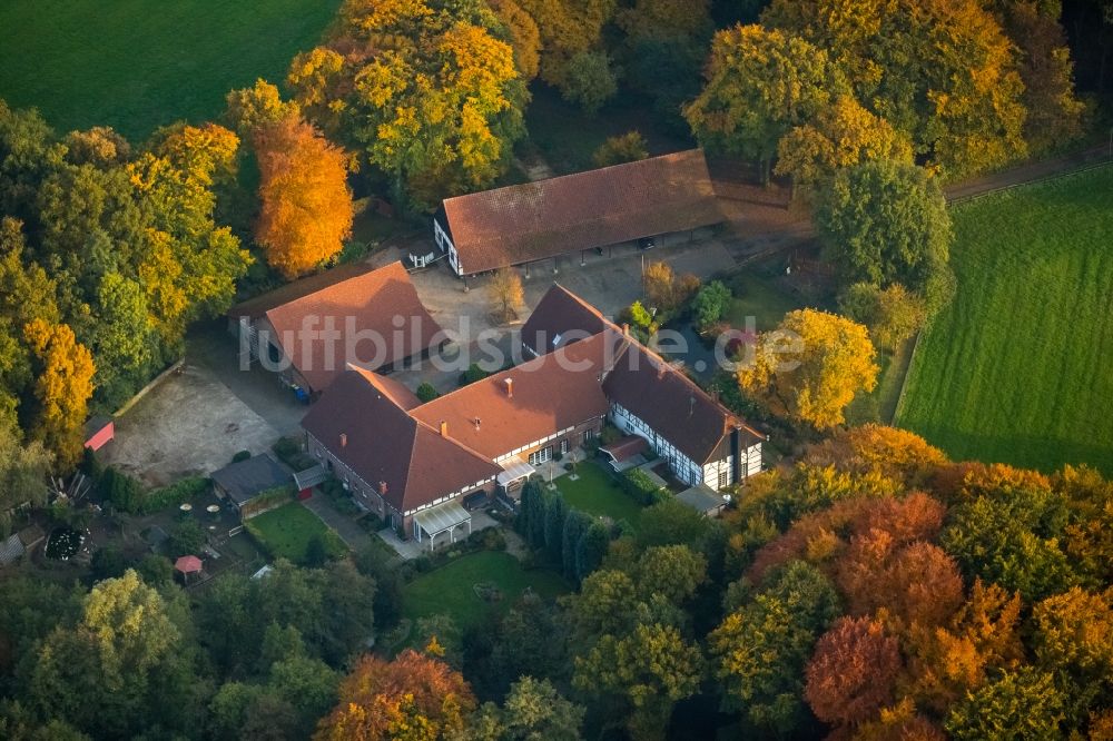 Luftbild Gladbeck - Gehöft eines Bauernhofes inmitten eines herbstlichen Waldes in Rentfort im Bundesland Nordrhein-Westfalen