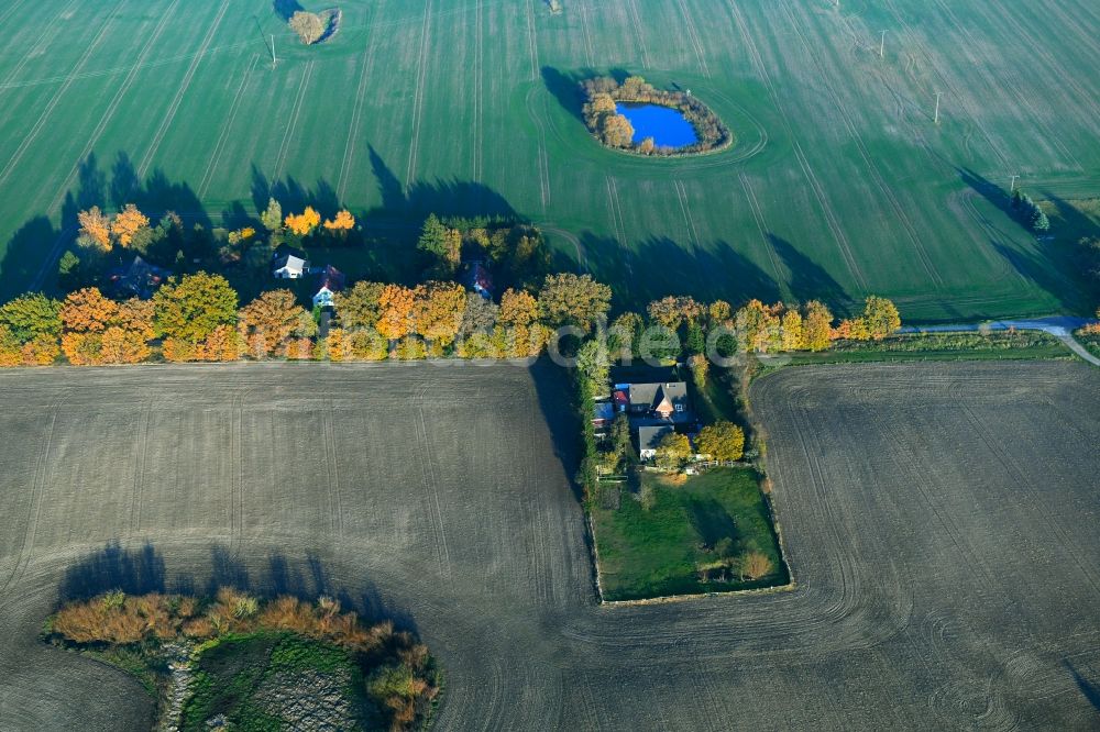 Kavelsdorf von oben - Gehöft eines Bauernhofes in Kavelsdorf im Bundesland Mecklenburg-Vorpommern, Deutschland