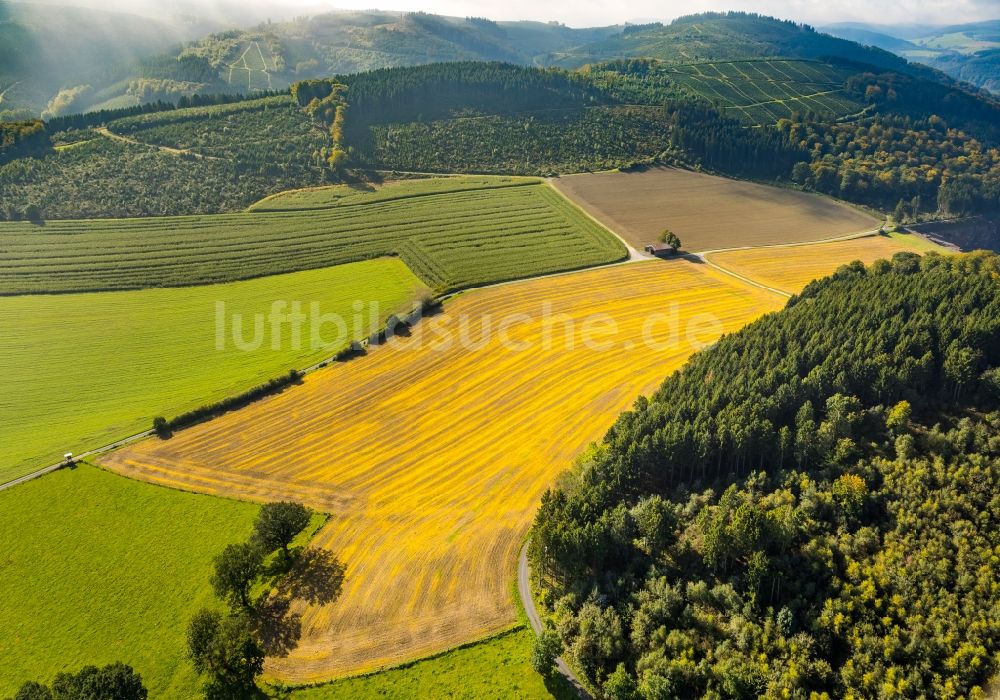 Luftaufnahme Meschede - Gehöft eines Bauernhofes am Mescheder Weg in Meschede im Bundesland Nordrhein-Westfalen, Deutschland