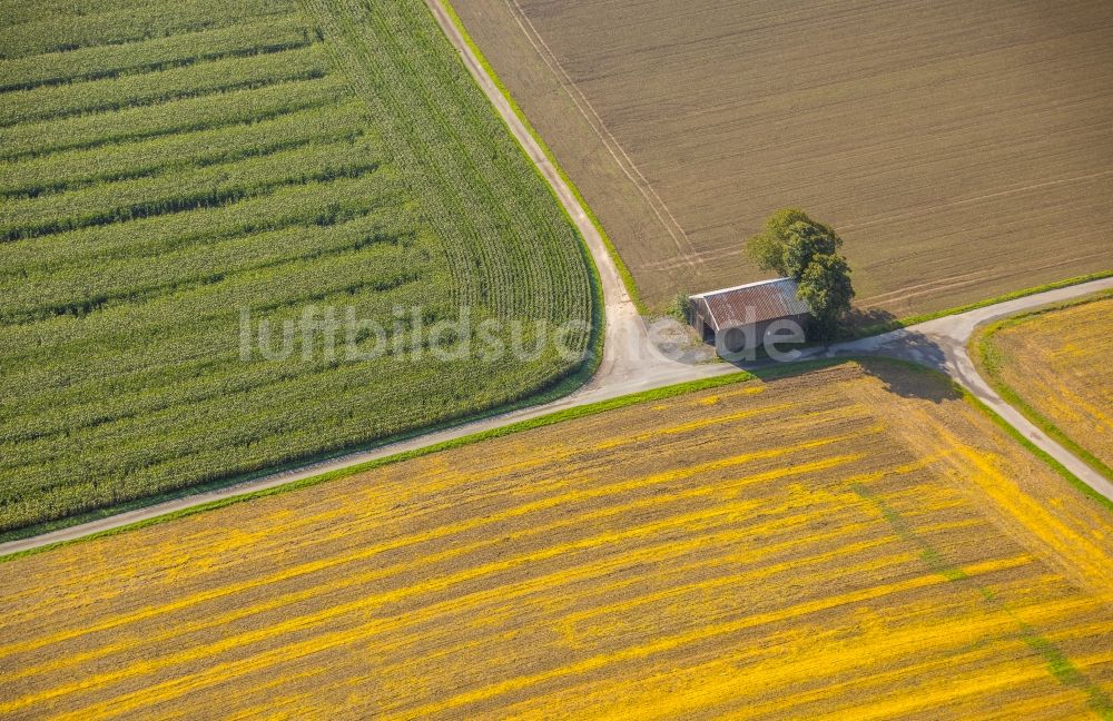 Meschede von oben - Gehöft eines Bauernhofes am Mescheder Weg in Meschede im Bundesland Nordrhein-Westfalen, Deutschland