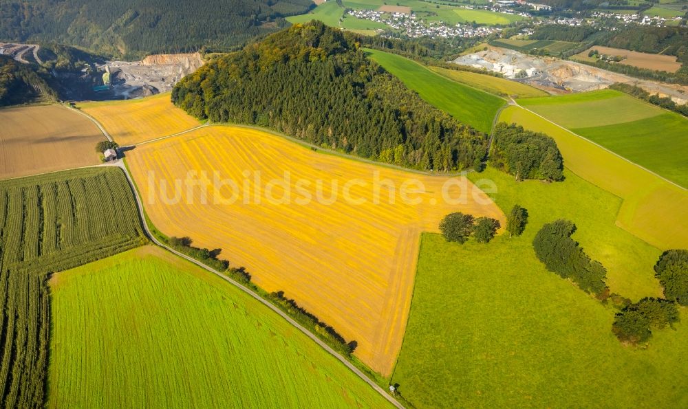 Meschede aus der Vogelperspektive: Gehöft eines Bauernhofes am Mescheder Weg in Meschede im Bundesland Nordrhein-Westfalen, Deutschland