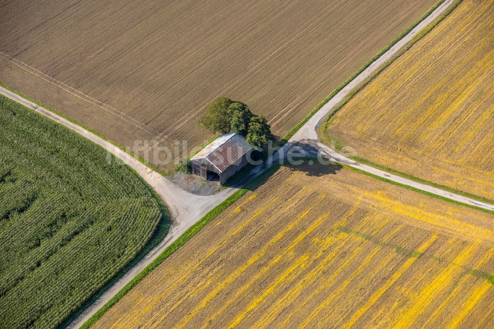 Luftbild Meschede - Gehöft eines Bauernhofes am Mescheder Weg in Meschede im Bundesland Nordrhein-Westfalen, Deutschland