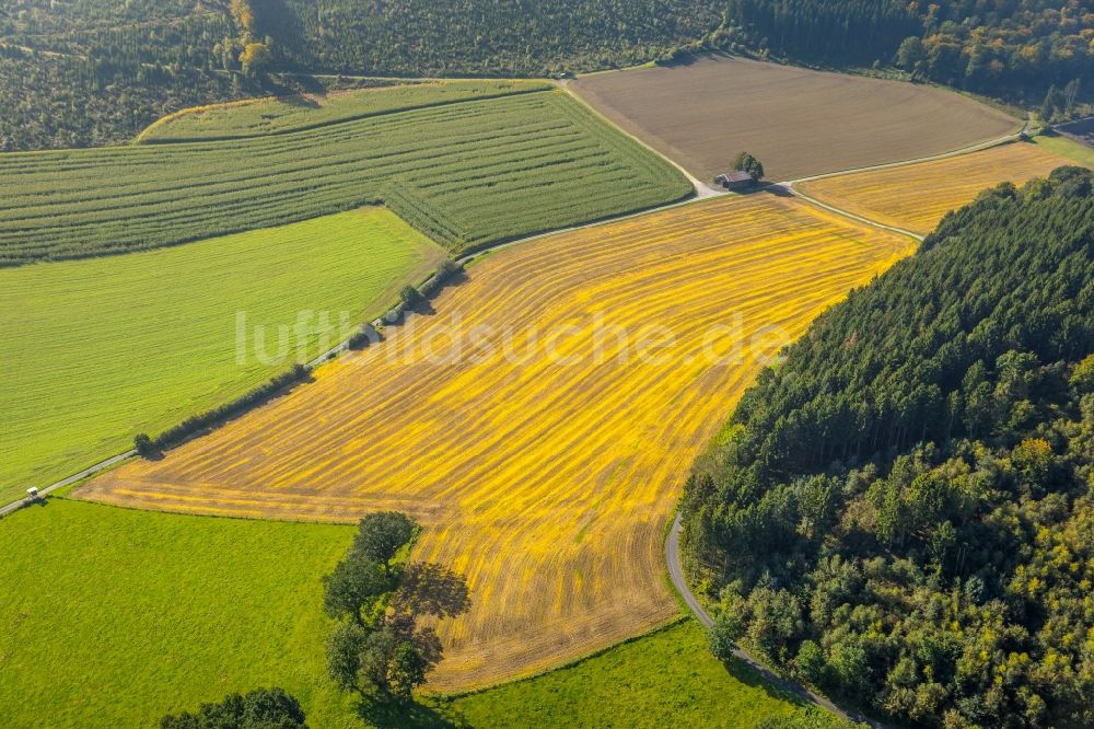 Meschede von oben - Gehöft eines Bauernhofes am Mescheder Weg in Meschede im Bundesland Nordrhein-Westfalen, Deutschland