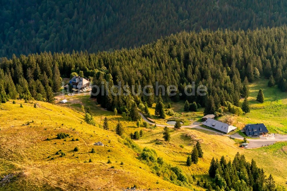 Luftbild Feldberg (Schwarzwald) - Gehöft eines Bauernhofes Naturfreunde Haus Feldberg in Feldberg (Schwarzwald) im Bundesland Baden-Württemberg, Deutschland