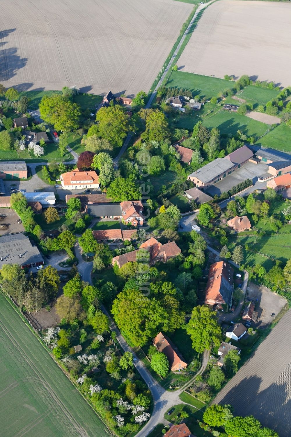 Hambrock aus der Vogelperspektive: Gehöft eines Bauernhofes am Rand von bestellten Feldern in Hambrock im Bundesland Niedersachsen, Deutschland