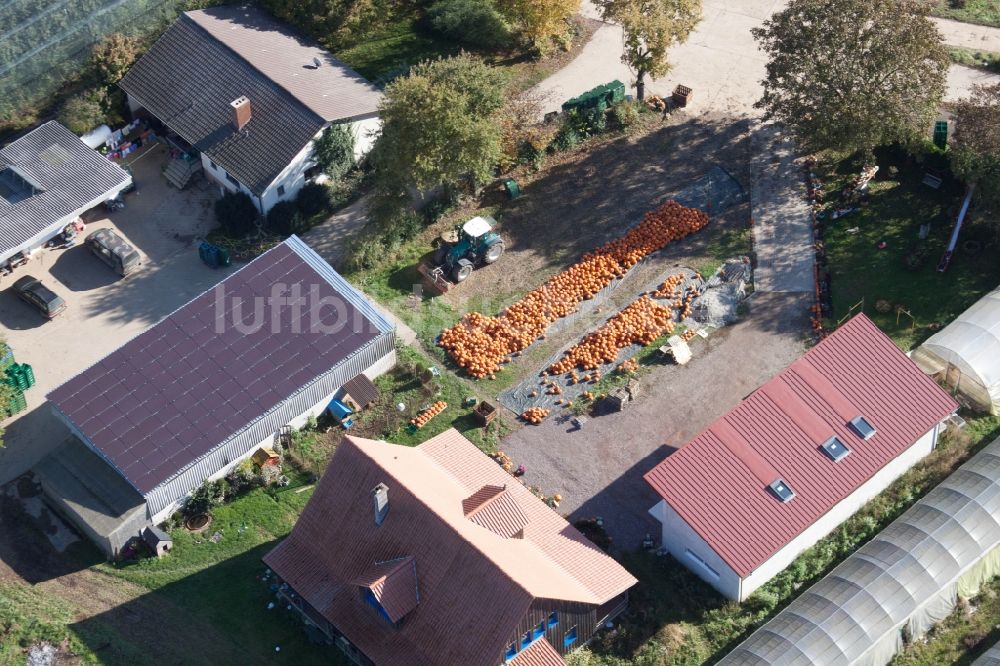 Kandel von oben - Gehöft eines Bauernhofes am Rand von bestellten Feldern in Kandel im Bundesland Rheinland-Pfalz