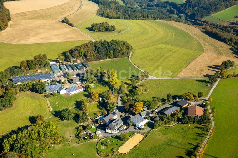 Meschede aus der Vogelperspektive: Gehöft eines Bauernhofes am Rand von bestellten Feldern in Meschede im Bundesland Nordrhein-Westfalen