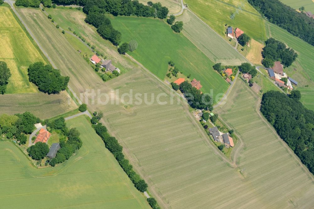 Luftaufnahme Oelde - Gehöft eines Bauernhofes am Rand von bestellten Feldern in Oelde im Bundesland Nordrhein-Westfalen