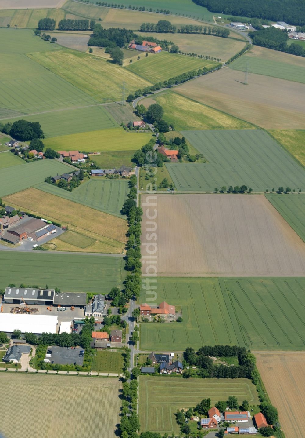 Oelde aus der Vogelperspektive: Gehöft eines Bauernhofes am Rand von bestellten Feldern in Oelde im Bundesland Nordrhein-Westfalen