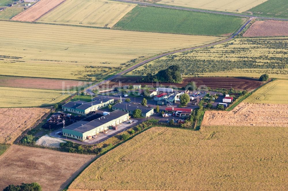 Luftaufnahme Orbis - Gehöft eines Bauernhofes am Rand von bestellten Feldern in Orbis im Bundesland Rheinland-Pfalz, Deutschland