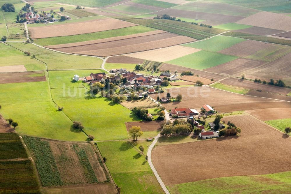 Kapellen-Drusweiler aus der Vogelperspektive: Gehöft eines Bauernhofes am Rand von bestellten Feldern im Ortsteil Deutschhof in Kapellen-Drusweiler im Bundesland Rheinland-Pfalz, Deutschland