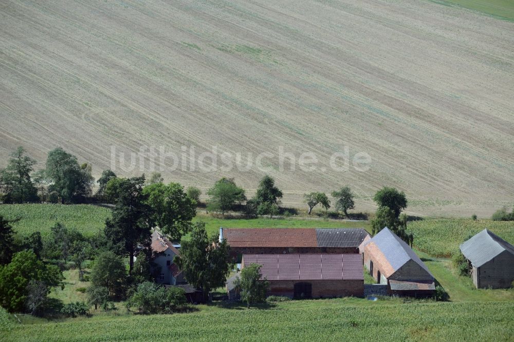 Luftbild Vierlinden - Gehöft eines Bauernhofes am Rand von bestellten Feldern in Vierlinden im Bundesland Brandenburg