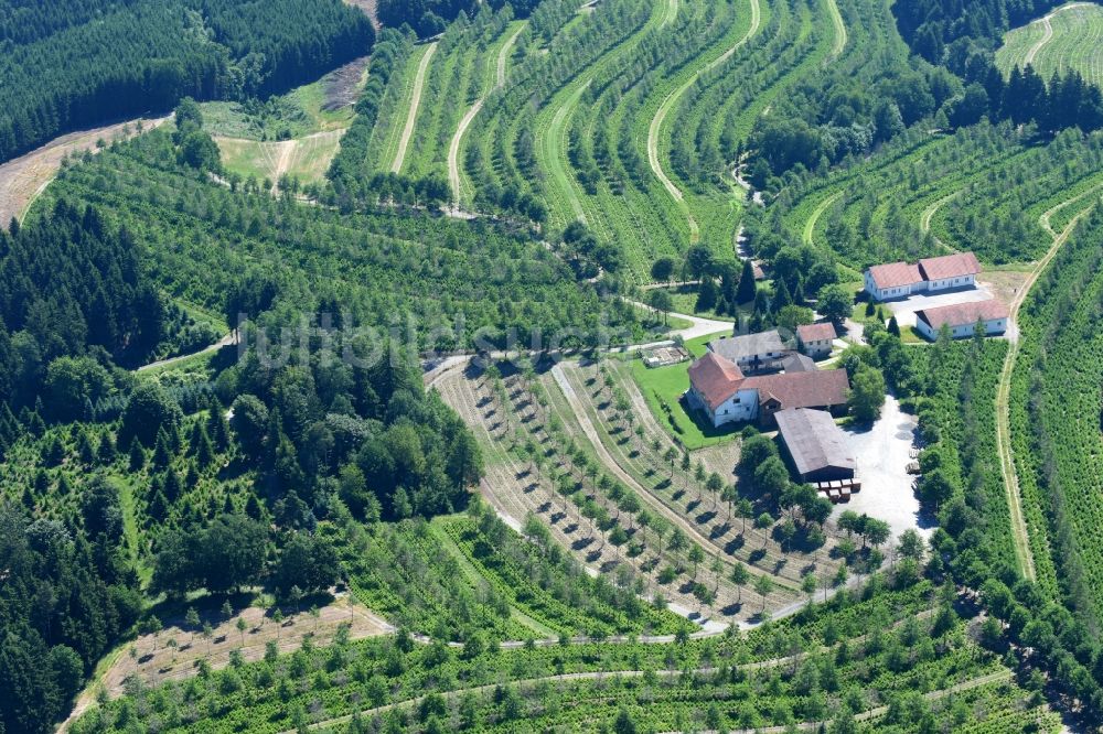 Luftaufnahme Windorf - Gehöft eines Bauernhofes am Rand von bestellten Feldern in Windorf im Bundesland Bayern, Deutschland