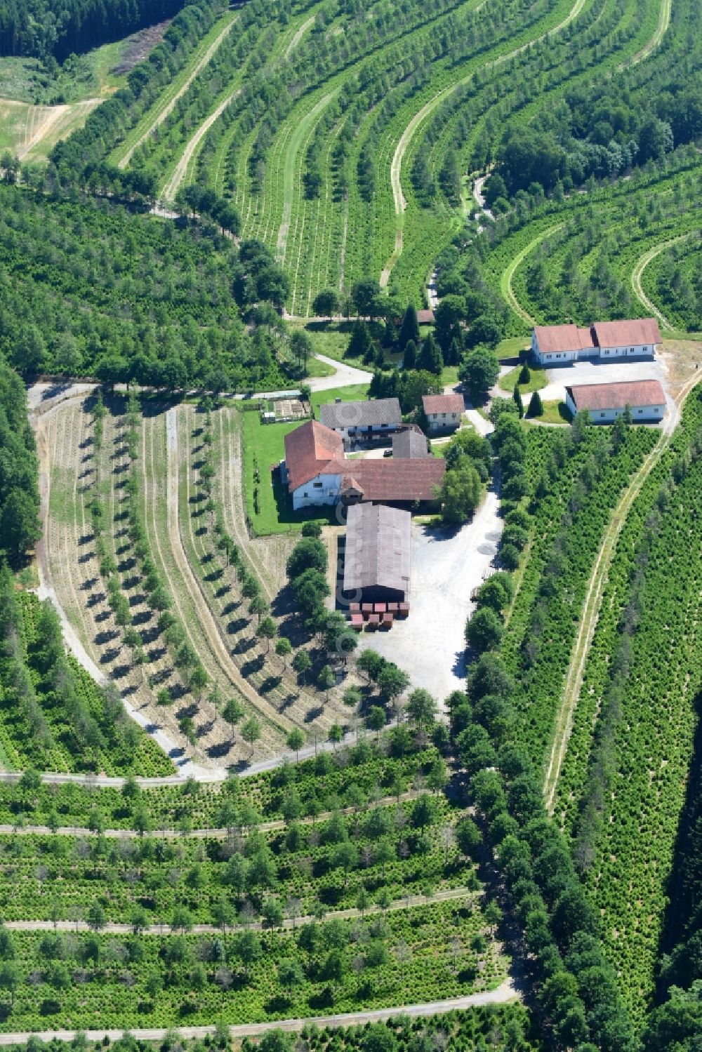 Windorf von oben - Gehöft eines Bauernhofes am Rand von bestellten Feldern in Windorf im Bundesland Bayern, Deutschland