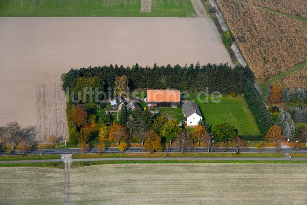 Oranienburg aus der Vogelperspektive: Gehöft eines Bauernhofes an der Schmachtenhagener Straße in Oranienburg im Bundesland Brandenburg, Deutschland